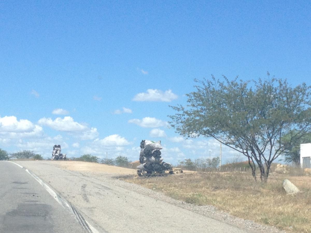 Carvão vendido na estrada