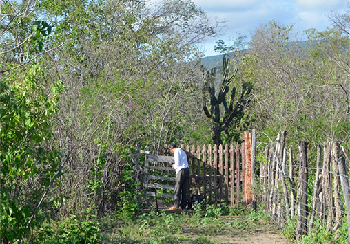 Entrada Projeto Imburana